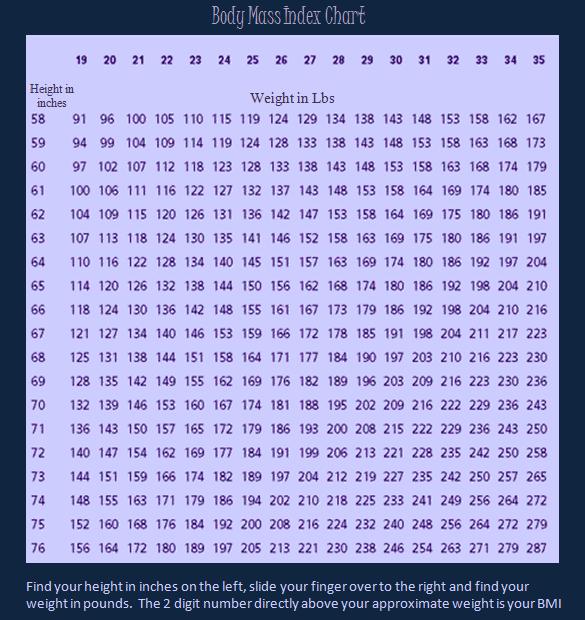 Bmi Calculator